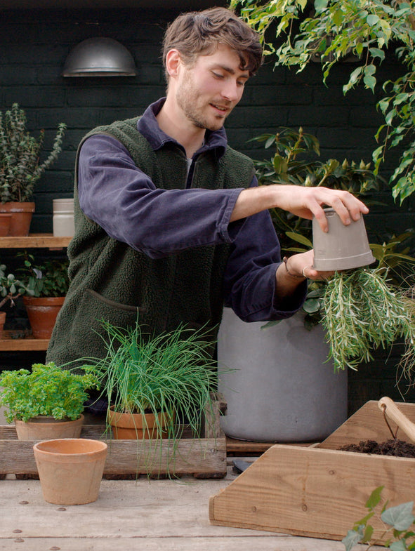 How to pot a herb kitchen